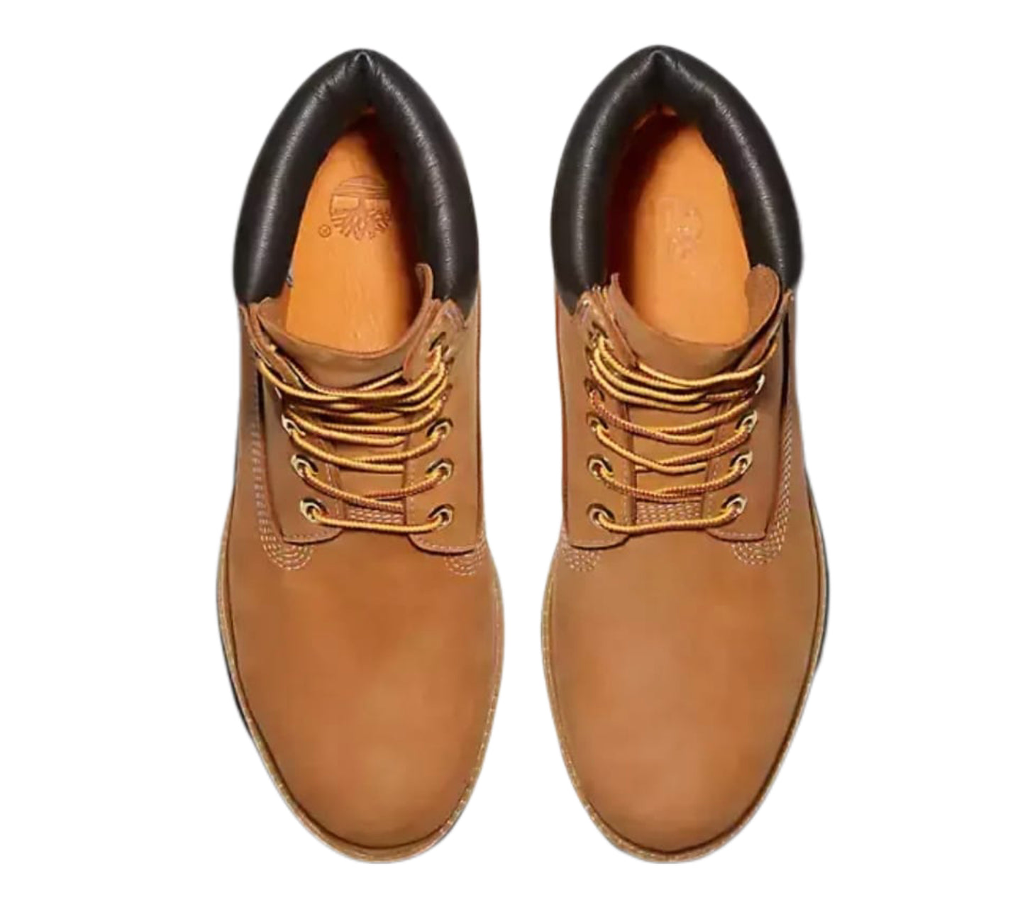 Icon 6 inch premium timberland boot